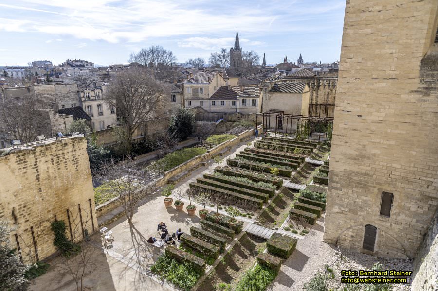 Avignon, Februar 2026