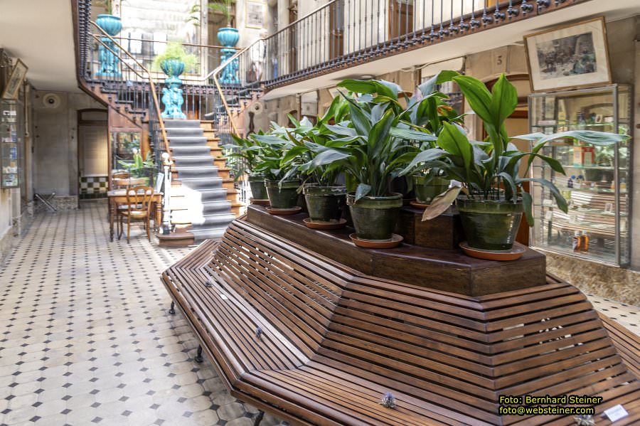 Avignon, Februar 2026