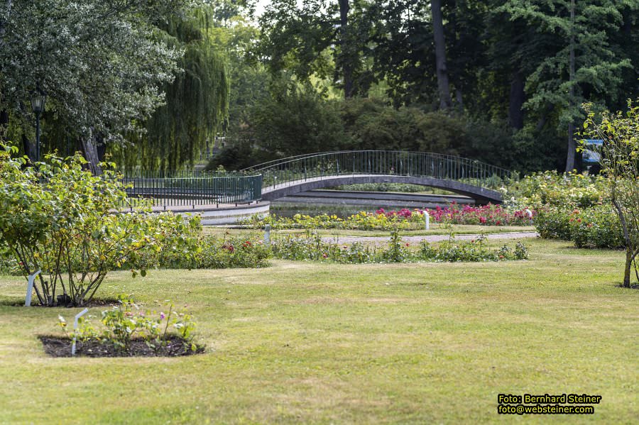Rosarium im Doblhoffpark Baden, Juli 2023