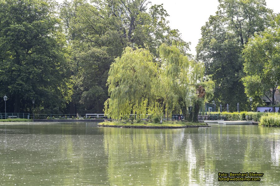 Rosarium im Doblhoffpark Baden, Juli 2023