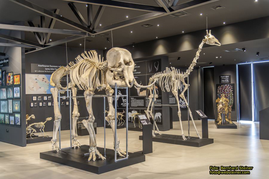 Baku, Azerbaijan, October 2025