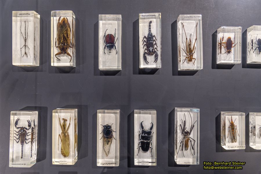 Baku, Azerbaijan, October 2025