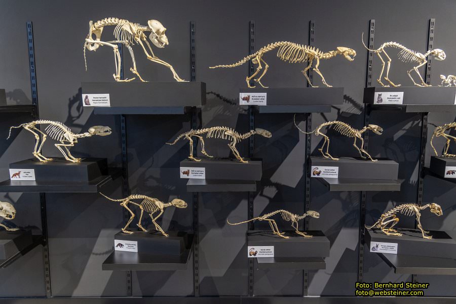 Baku, Azerbaijan, October 2025