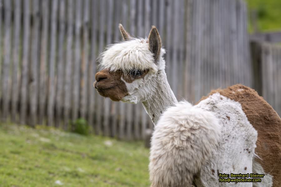 Natur- und Erlebnispark Buchenberg, Mai 2023