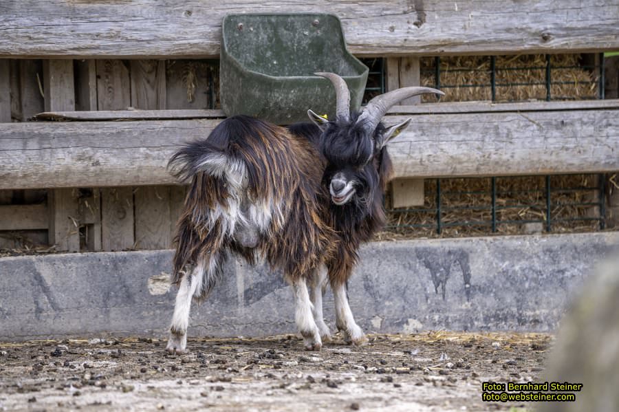Natur- und Erlebnispark Buchenberg, Mai 2023