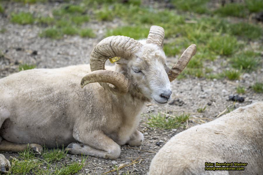 Natur- und Erlebnispark Buchenberg, Mai 2023