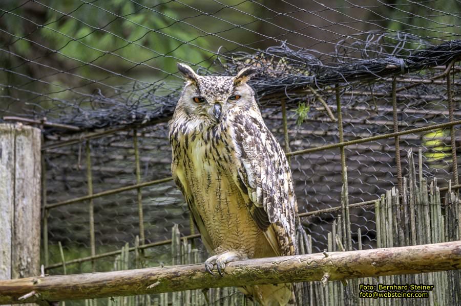 Natur- und Erlebnispark Buchenberg, Mai 2023