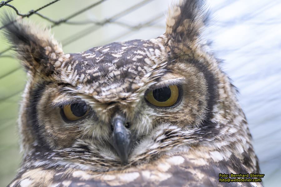 Natur- und Erlebnispark Buchenberg, Mai 2023