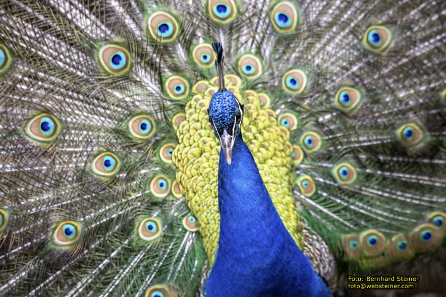 Natur- und Erlebnispark Buchenberg, Mai 2023