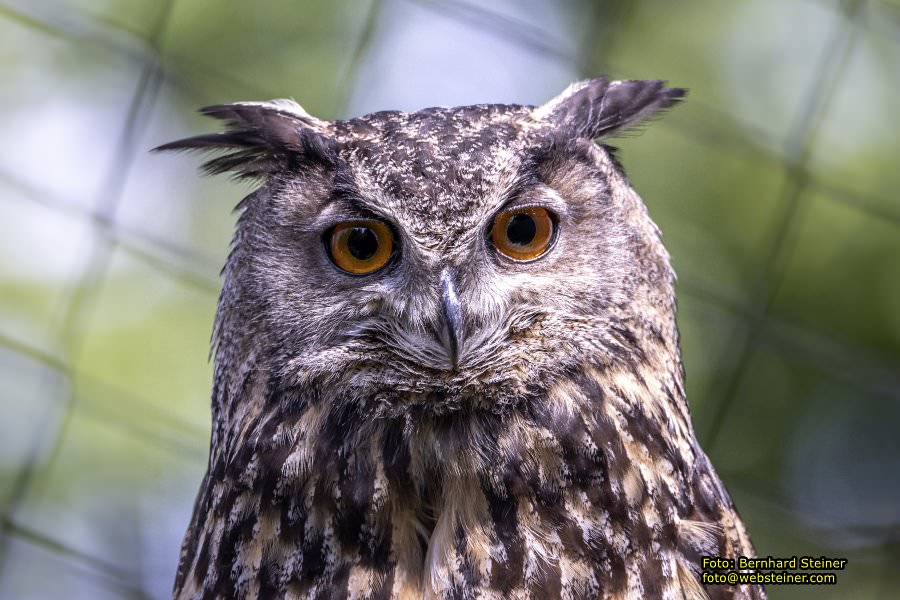 Natur- und Erlebnispark Buchenberg, Mai 2023