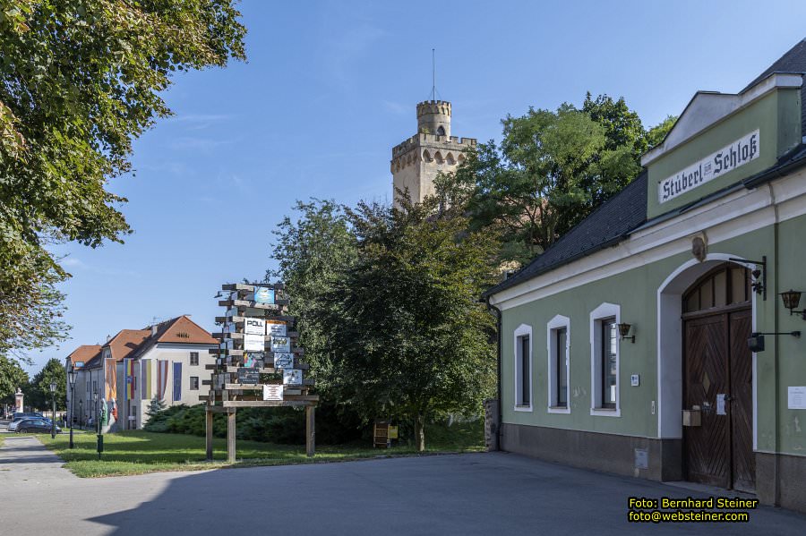 D�rnkrut im Marchfeld, August 2023