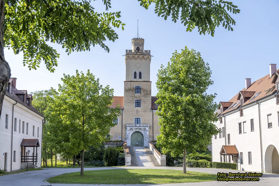 D�rnkrut im Marchfeld, August 2023