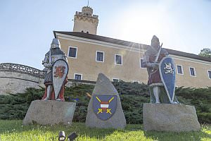 Projekt: D�rnkrut im Marchfeld, August 2023