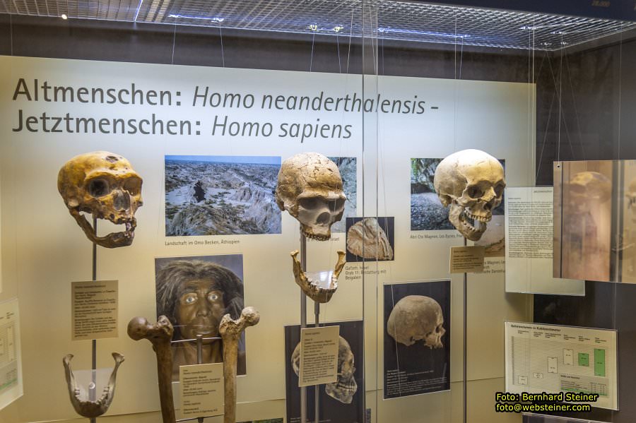 Krahuletz-Museum in Eggenburg, Oktober 2023