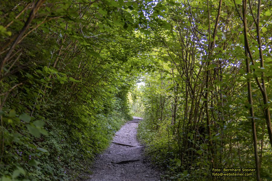 Hermannsh�hle, Kirchberg am Wechsel, August 2023