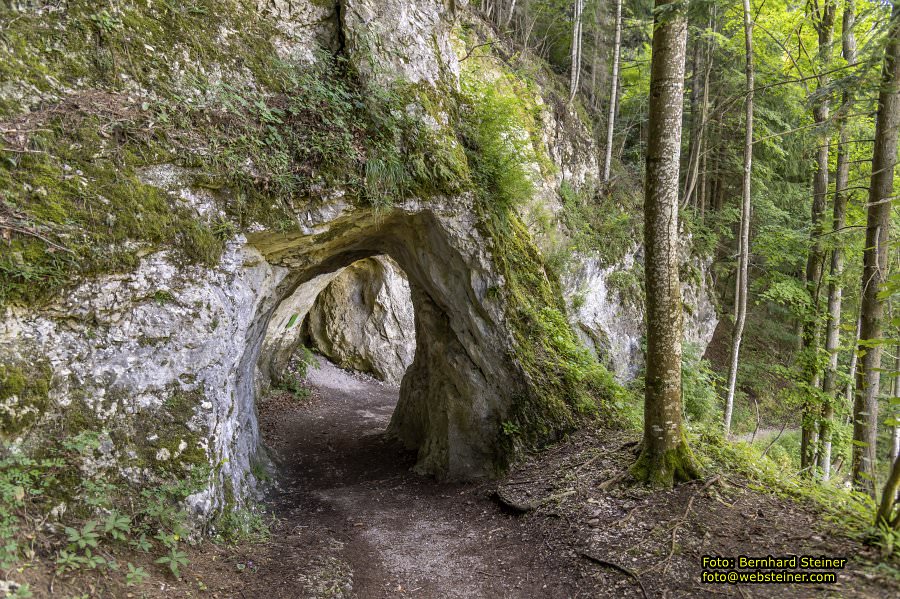 Hermannsh�hle, Kirchberg am Wechsel, August 2023