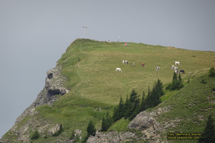 Hoher Freschen in Vorarlberg, August 2017