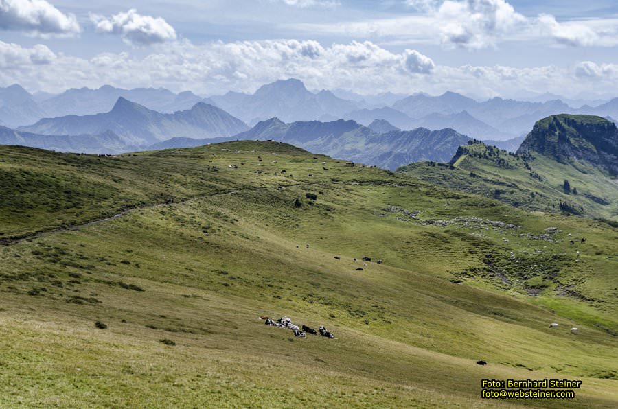 Hoher Freschen in Vorarlberg, August 2017