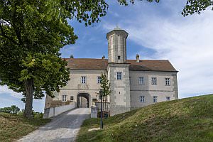 Projekt: Jedenspeigen im Marchfeld, August 2023