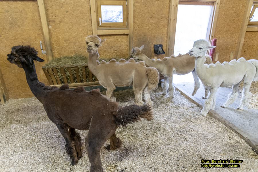 Kittenberger Erlebnisg�rten, Juni 2023