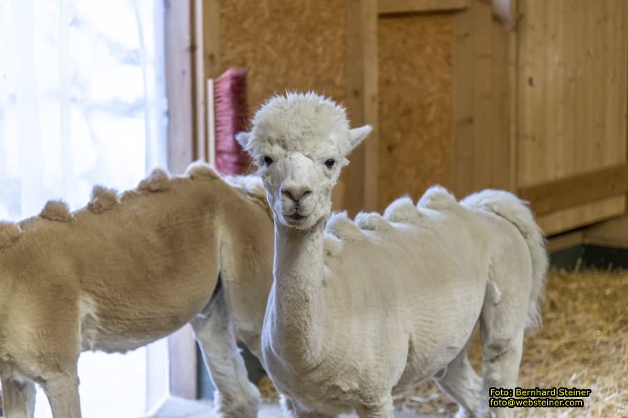 Kittenberger Erlebnisg�rten, Juni 2023