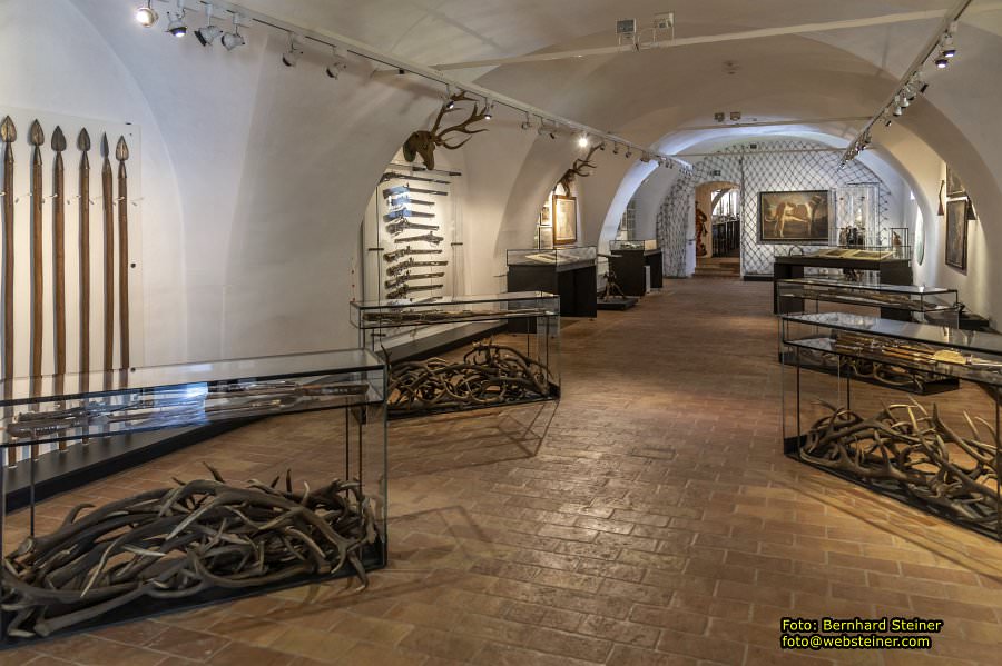 Lackenbach, August 2023