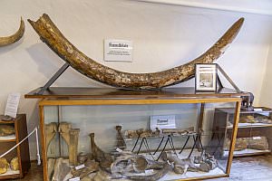Projekt: Heimatmuseum Langenlois, Oktober 2023