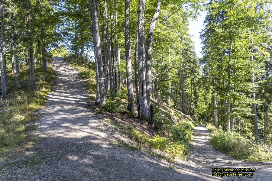 Mariazeller Brgeralpe, September 2023