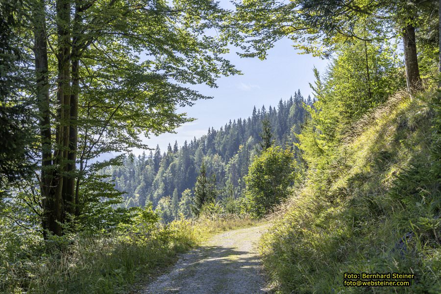 Mariazeller Brgeralpe, September 2023