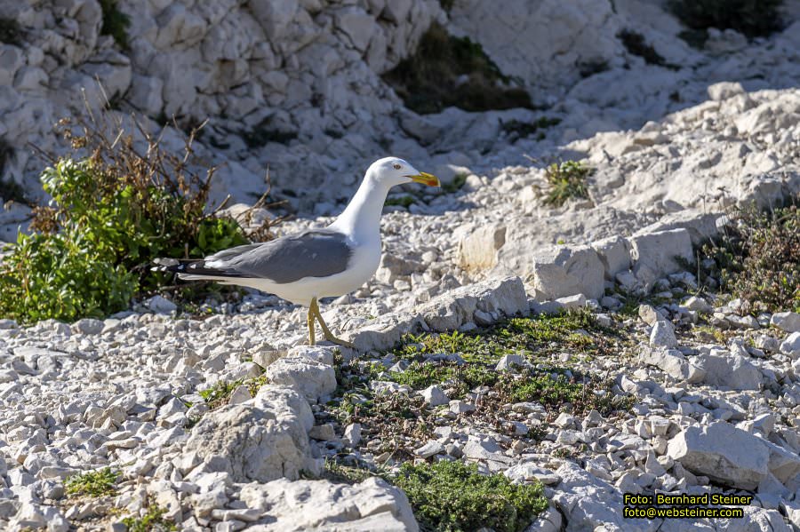Marseille, Februar 2026