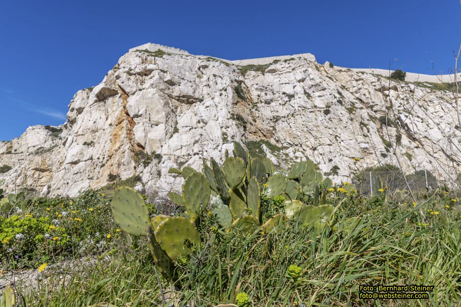 Marseille, Februar 2026