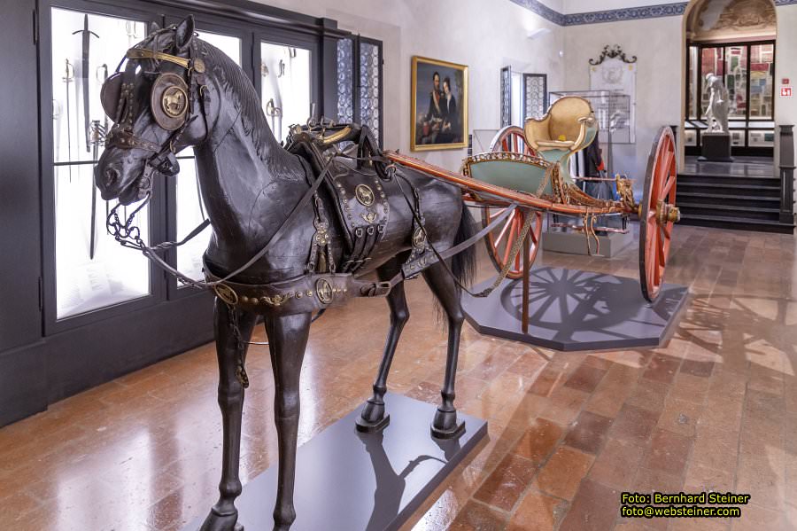 Palazzo dei Musei in Modena, Juni 2026