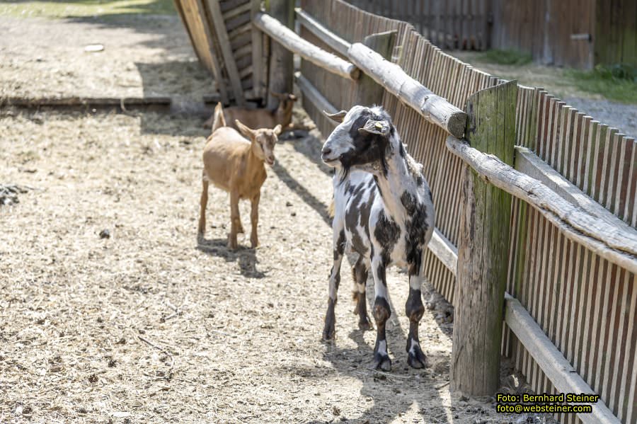 Naturpark Geras, Juli 2023