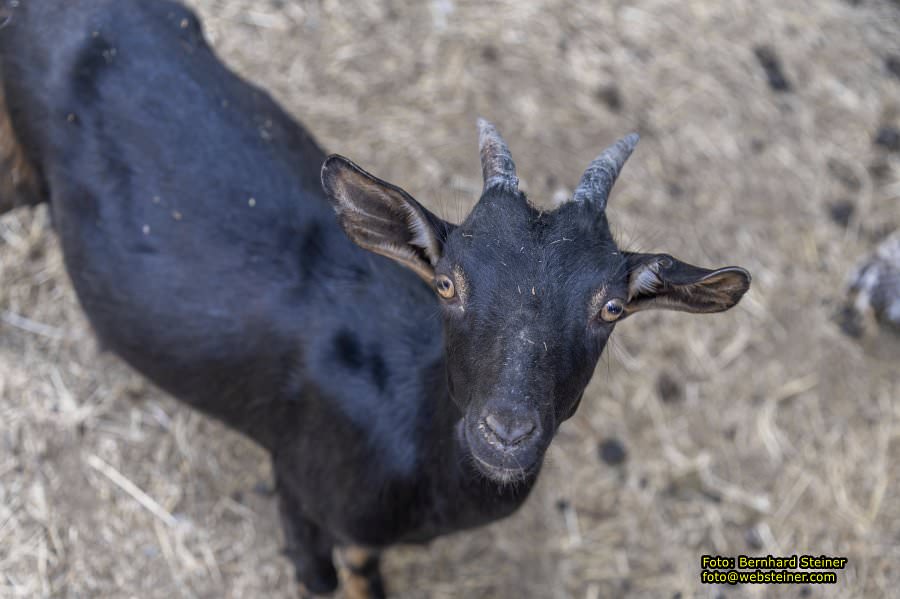 Naturpark Geras, Juli 2023