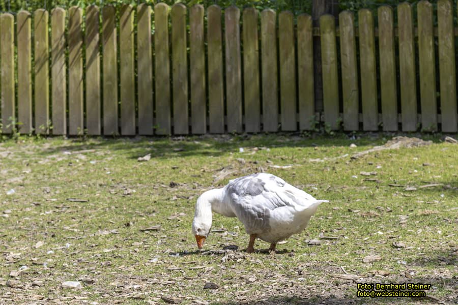 Naturpark Geras, Juli 2023