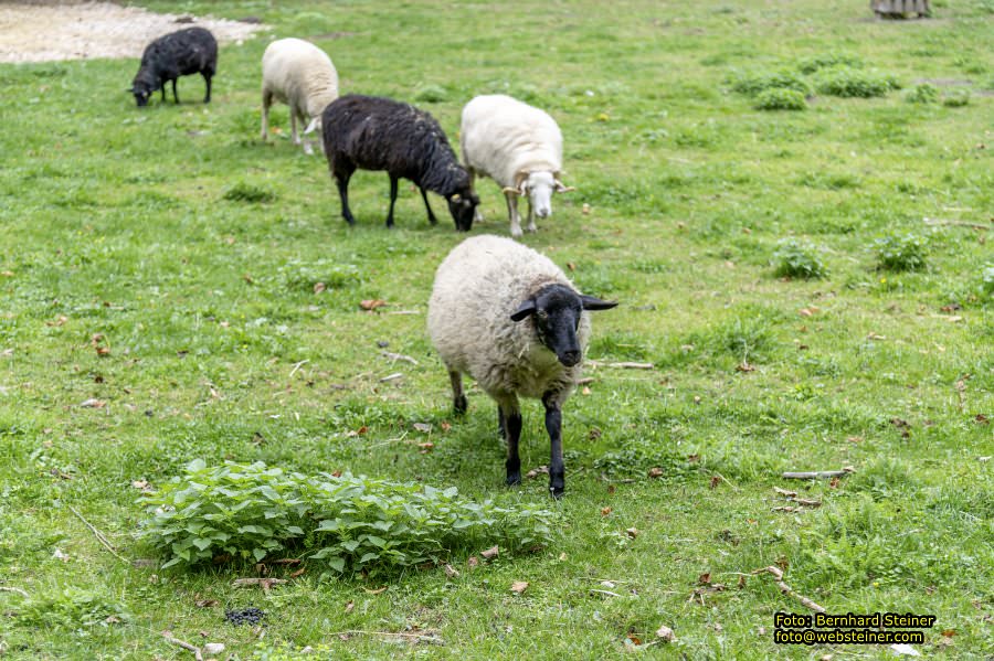 Naturpark Sparbach, September 2023