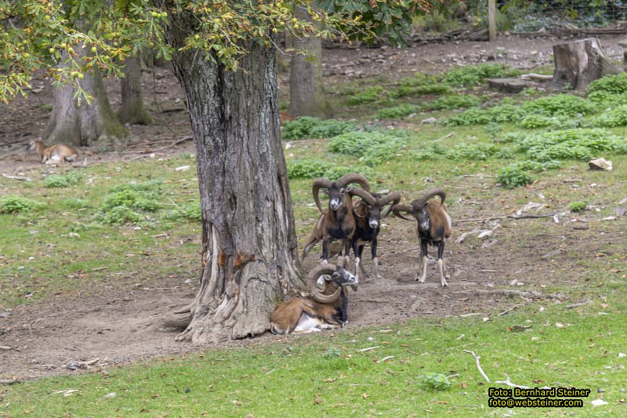 Naturpark Sparbach, September 2023