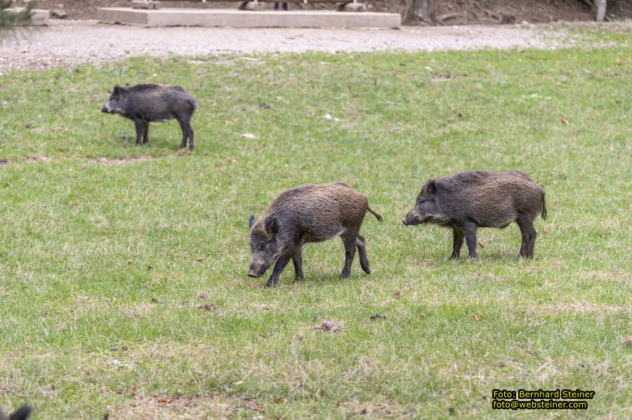 Naturpark Sparbach, September 2023