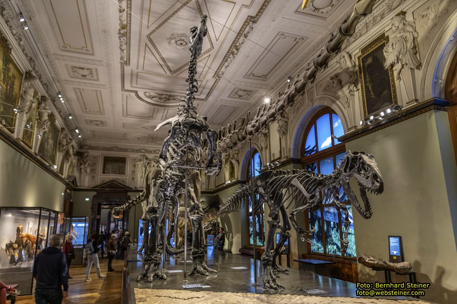 Naturhistorisches Museum Wien - NHM, Jnner 2023