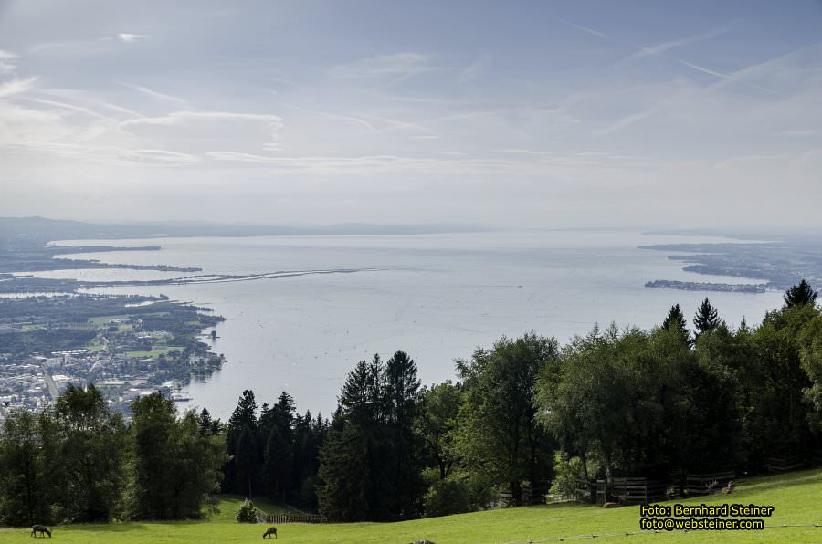 Pf�nder mit der Pf�nderbahn, August 2017