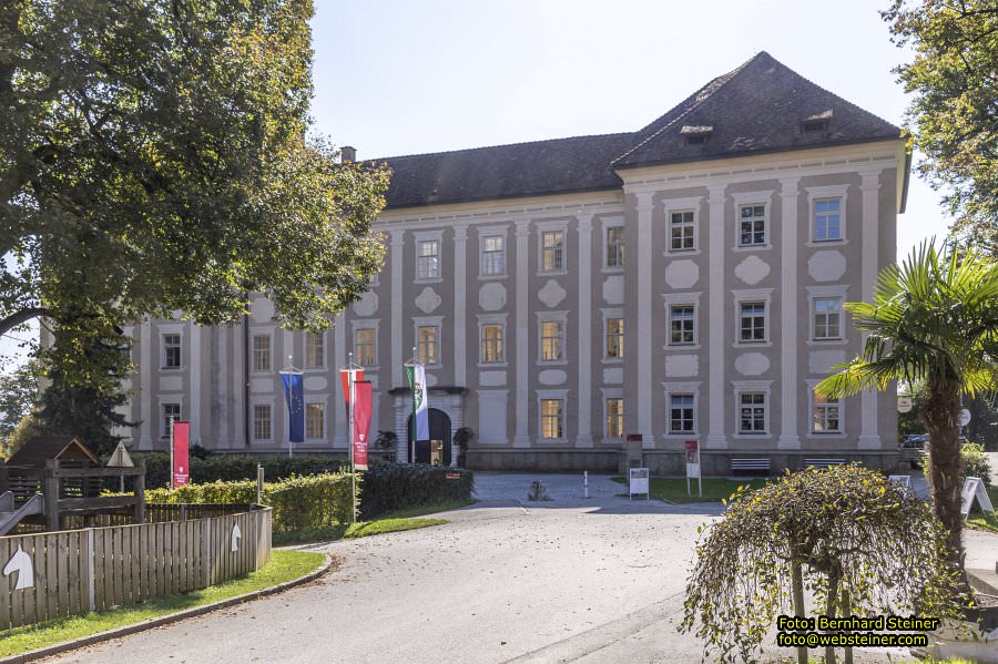 Lipizzanergestt Piber bei Kflach, September 2023