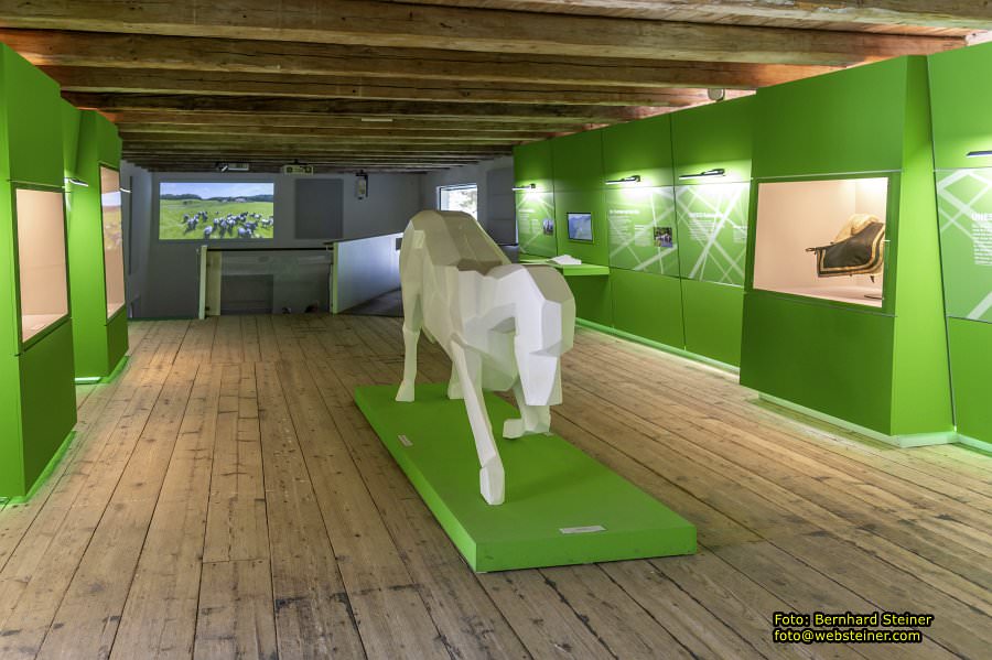 Lipizzanergestt Piber bei Kflach, September 2023