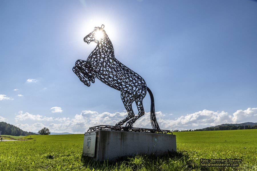 Lipizzanergestt Piber bei Kflach, September 2023