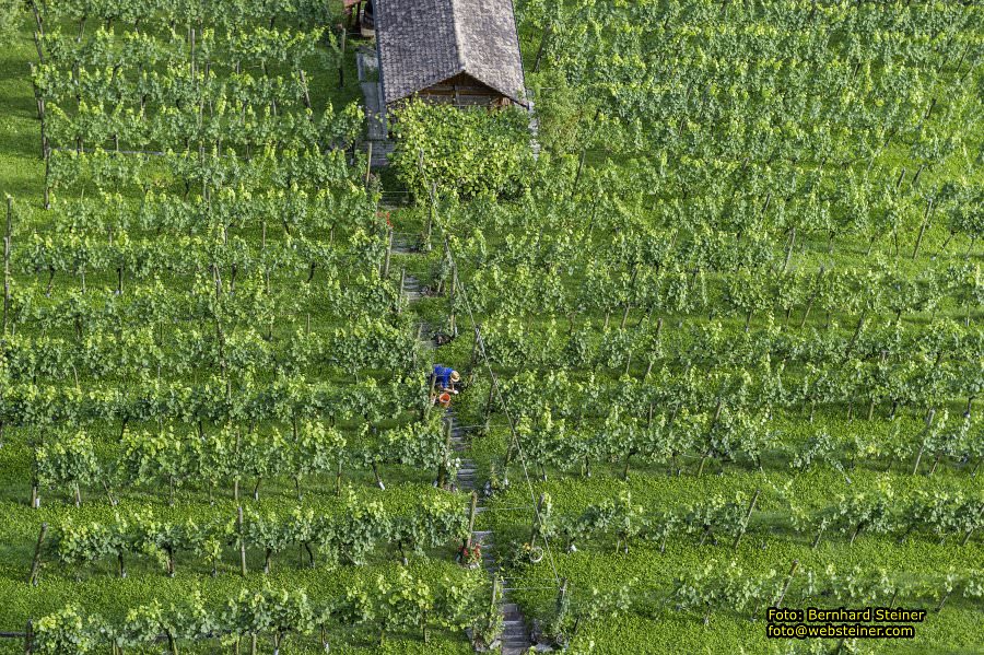 Basilika Rankweil, August 2017