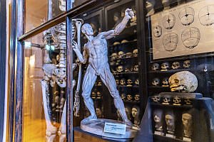 Projekt: Rollettmuseum in Baden, Jänner 2023