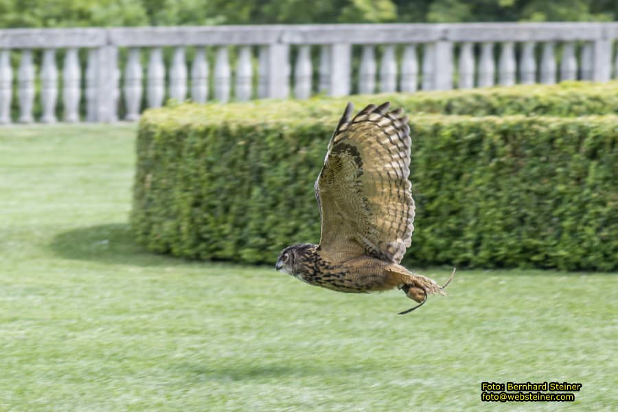 Renaissanceschloss Rosenburg, Juni 2023
