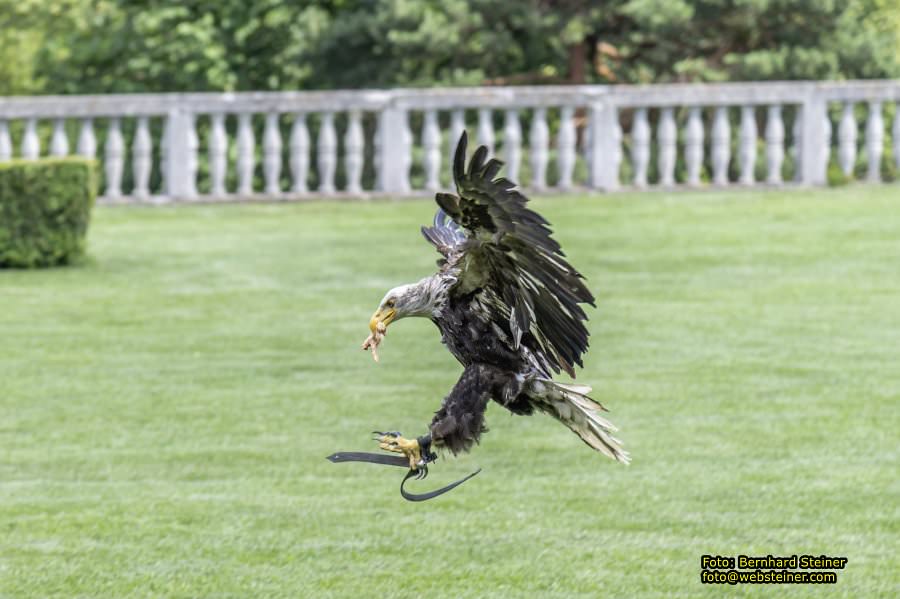 Renaissanceschloss Rosenburg, Juni 2023