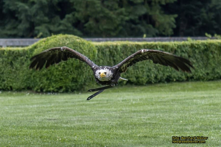 Renaissanceschloss Rosenburg, Juni 2023