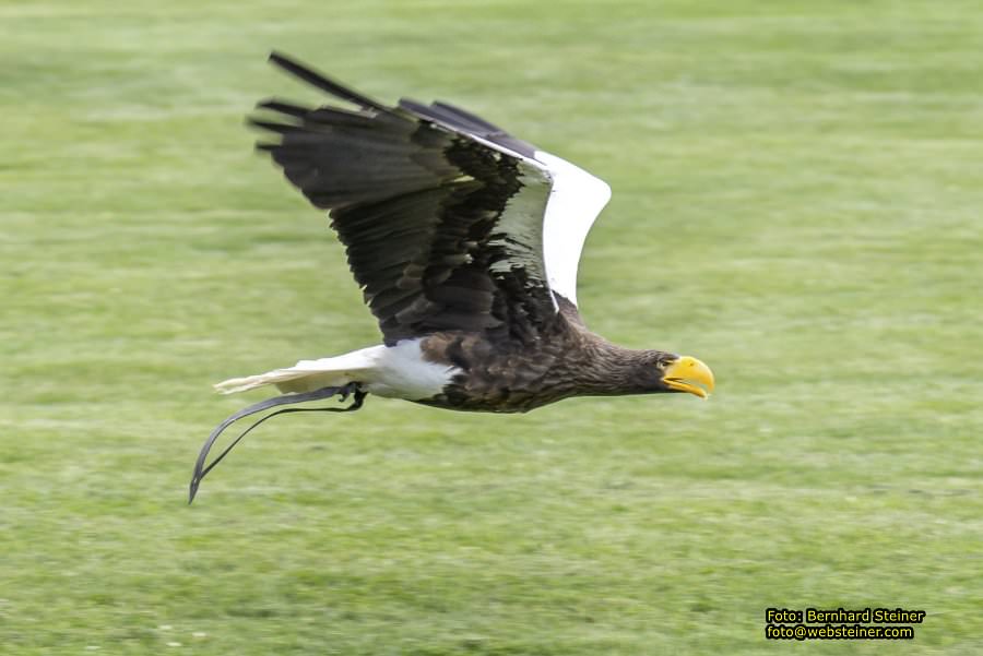 Renaissanceschloss Rosenburg, Juni 2023