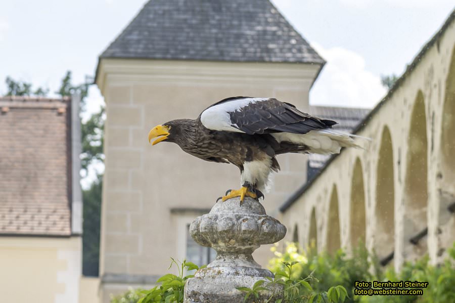 Renaissanceschloss Rosenburg, Juni 2023